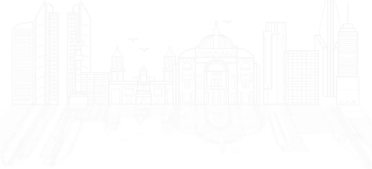 Descripción de la imagen